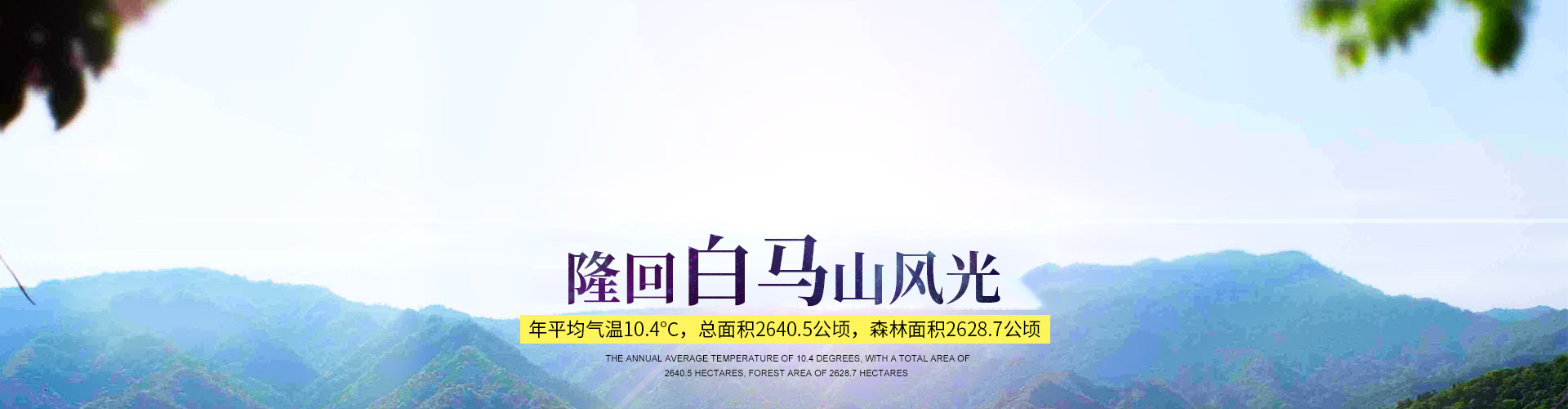 隆回縣龍瑤生態(tài)旅游開發(fā)有限公司_龍瑤生態(tài)旅游|隆回縣生態(tài)旅游|隆回縣森林公園